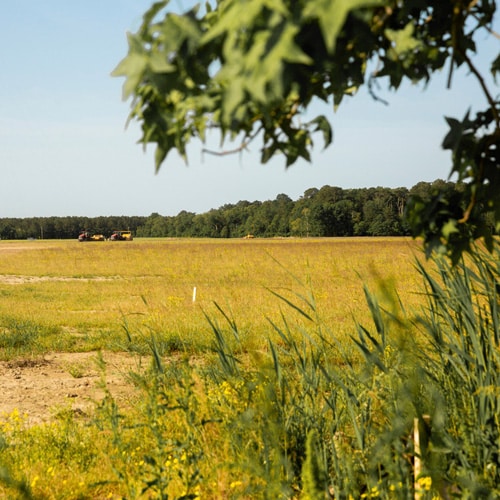 cannon-road-large-field